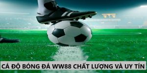 cá độ bóng đá